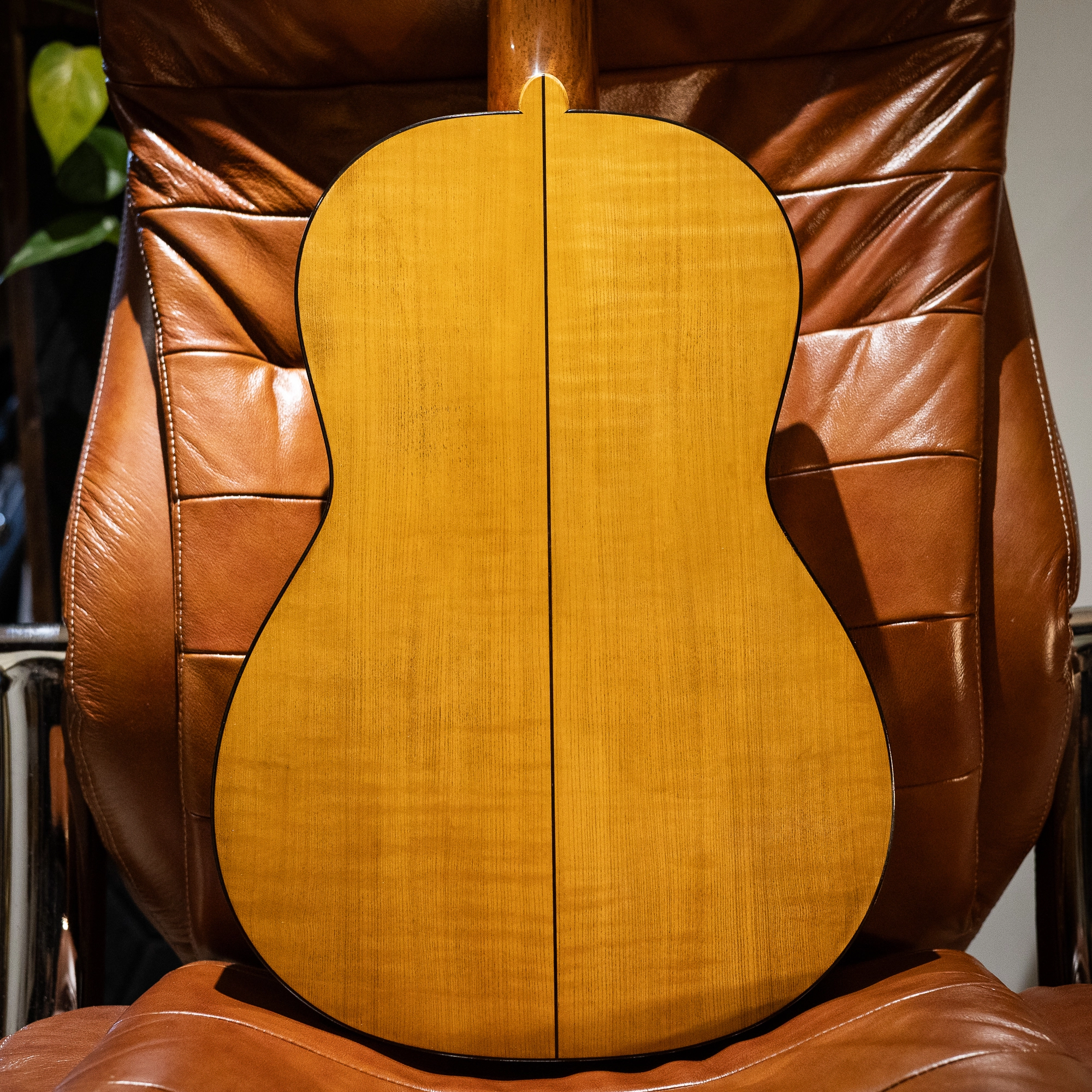 Wolfgang Jellinghaus | Torres FE17 1A - Image 5