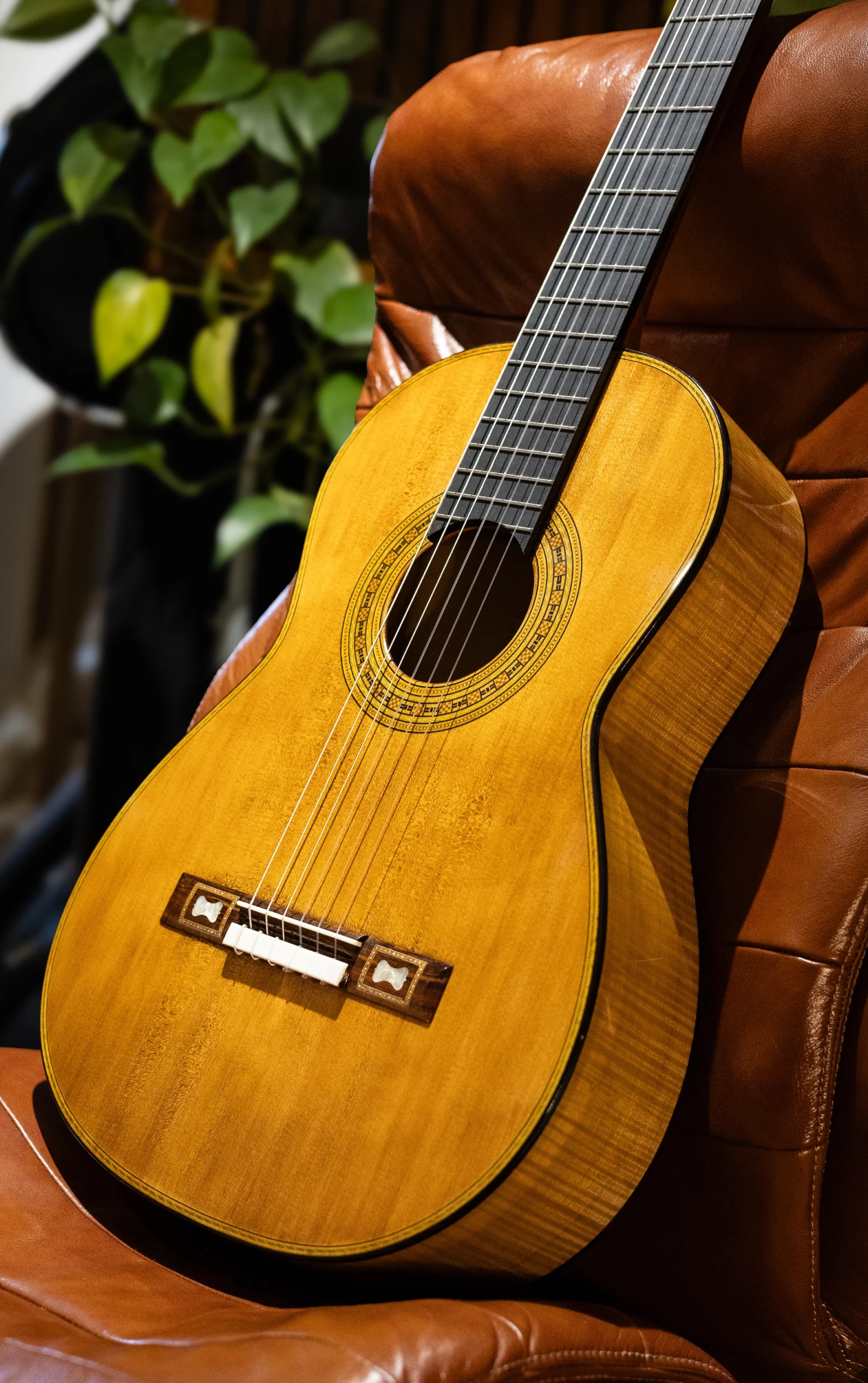 Wolfgang Jellinghaus | Torres FE17 1A - Image 4
