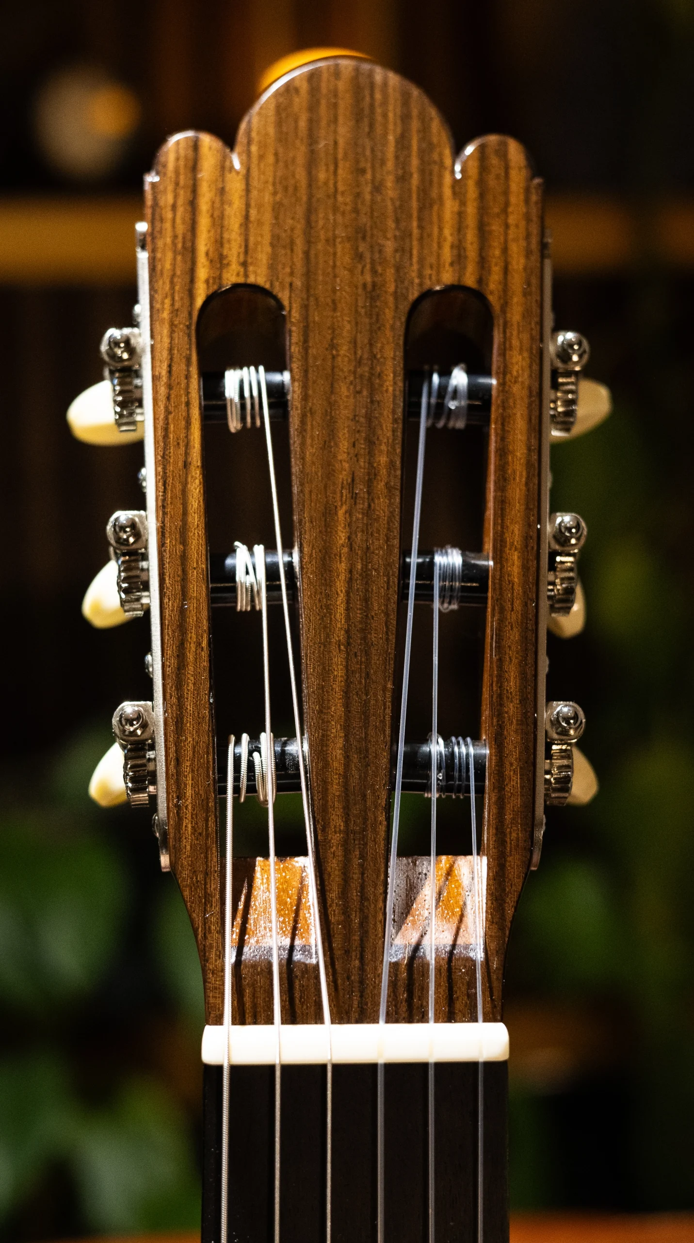 Wolfgang Jellinghaus | Torres FE17 1A - Image 8